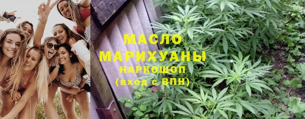 прущие грибы Тайга