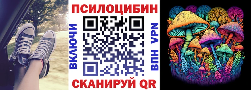 Псилоцибиновые грибы мицелий  закладка  Дудинка 